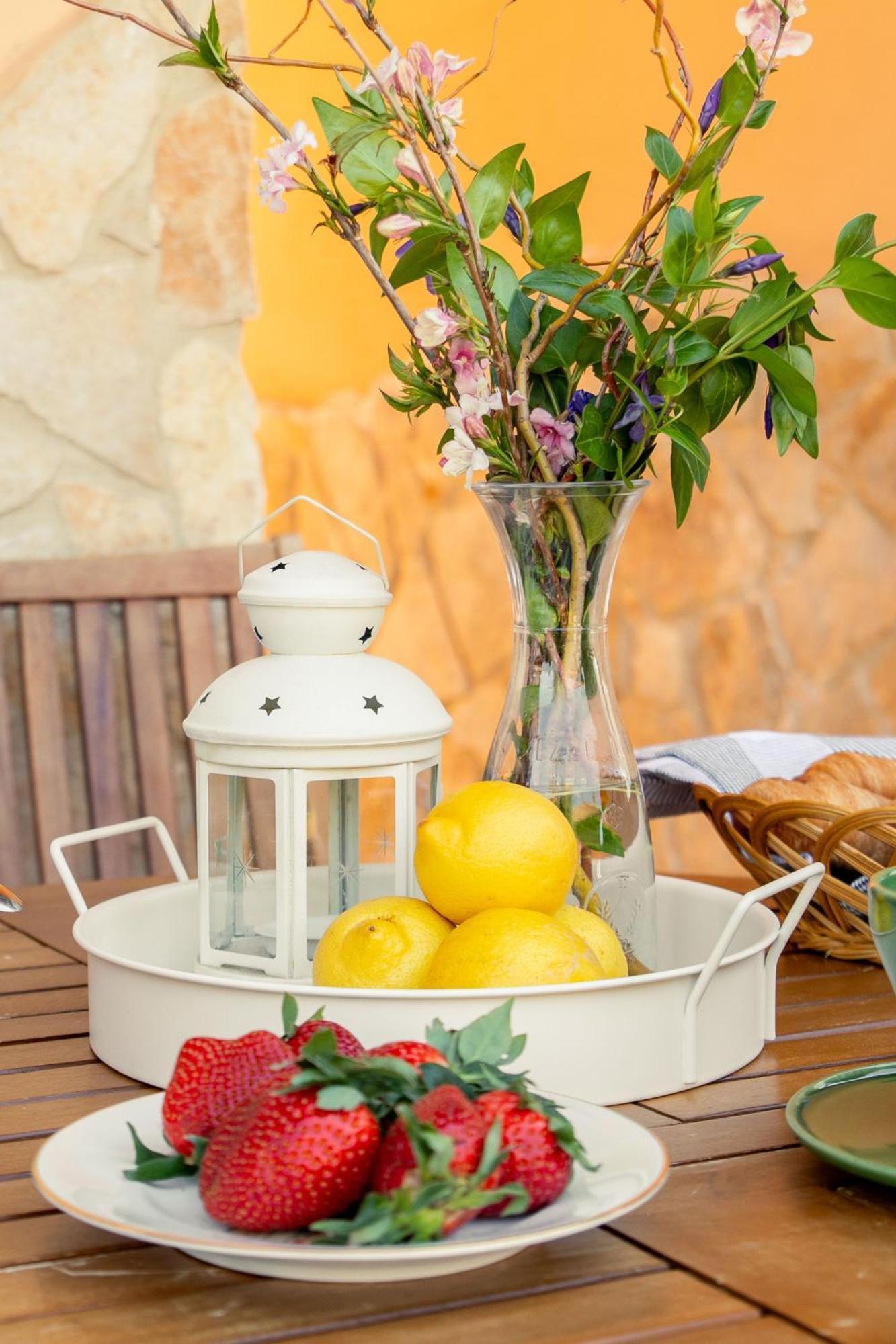 Noi 2 Vacanze - Il Nido Di Gina Contignano Exterior foto